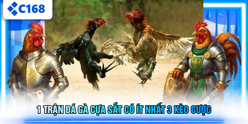 1 trận đá gà cựa sắt có ít nhất 3 kèo cược