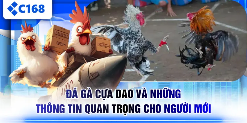 Đá Gà Cựa Dao
