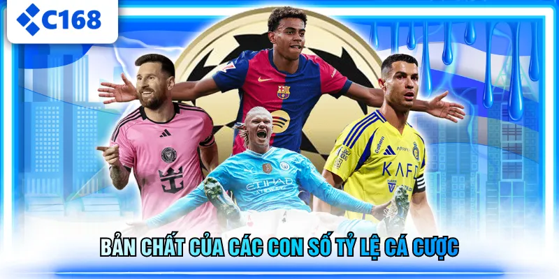 Bản chất của các con số tỷ lệ cá cược