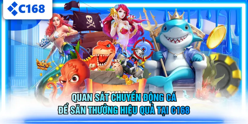Quan sát chuyển động cá để săn thưởng hiệu quả tại C168